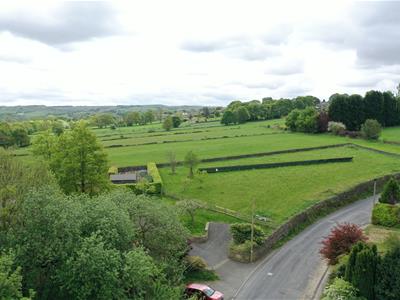 Picture 20